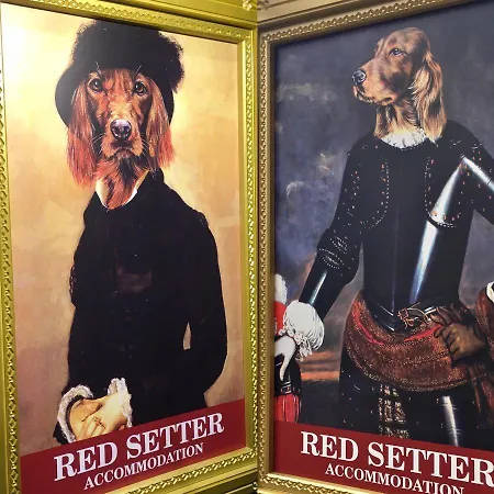 Red Setter Townhouse Bed & Breakfast Guest house Carlow