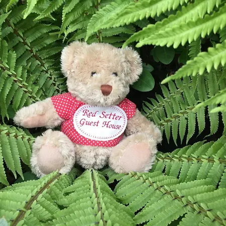 Red Setter Townhouse Bed & Breakfast 게스트하우스