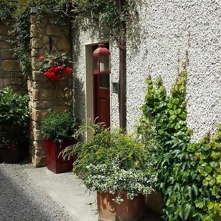 Guest house Red Setter Townhouse Bed & Breakfast Carlow