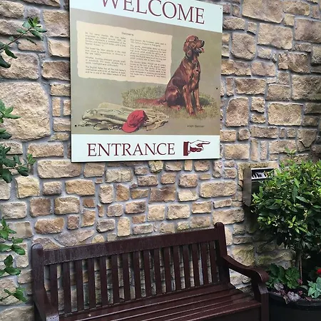 Guest house Red Setter Townhouse Bed & Breakfast Carlow