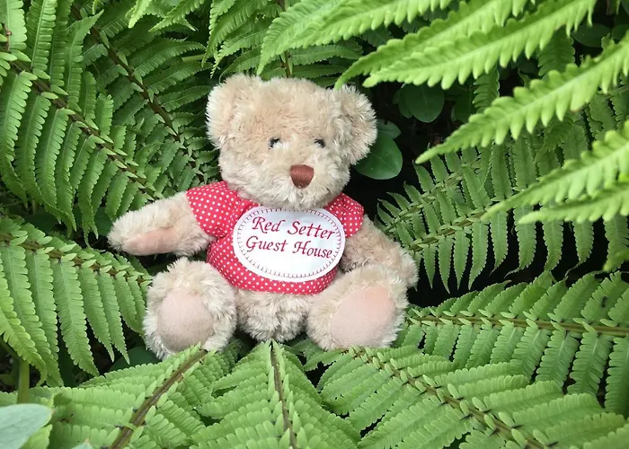 Red Setter Townhouse Bed & Breakfast 게스트하우스