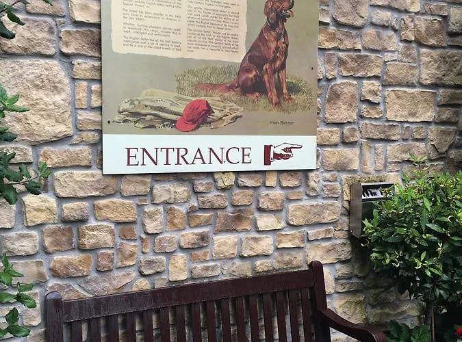 Gæstehus Red Setter Townhouse Bed & Breakfast Carlow